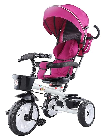 555 4 in 1 Reversible Tricycle for Kids Toddler