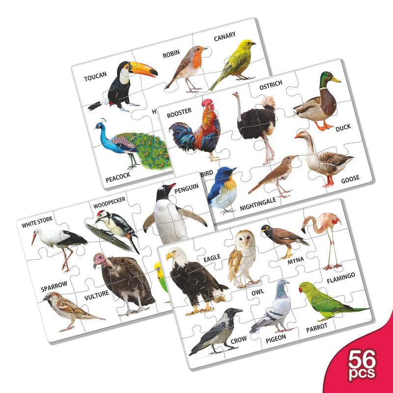 Pre School Puzzle Box (Birds)
