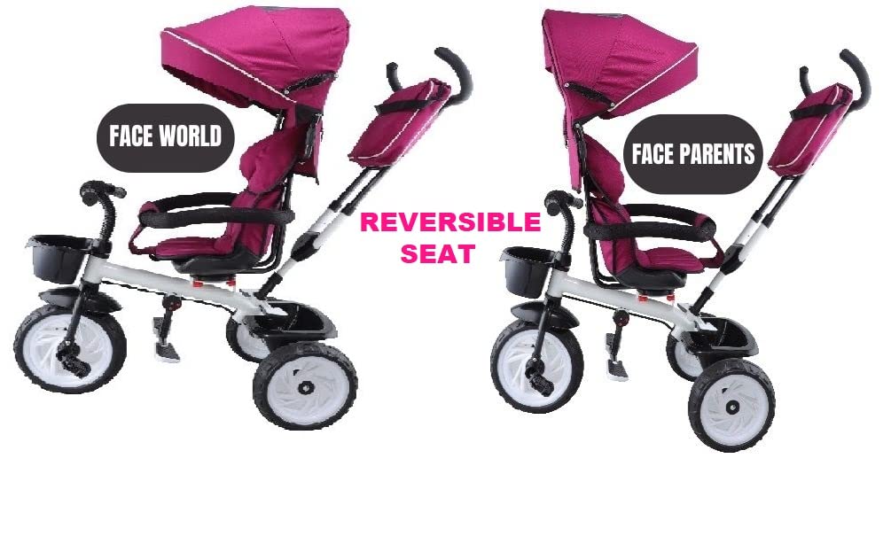 555 4 in 1 Reversible Tricycle for Kids Toddler