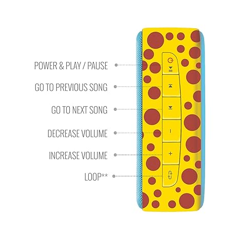 Carvaan Saregama Mini Kids