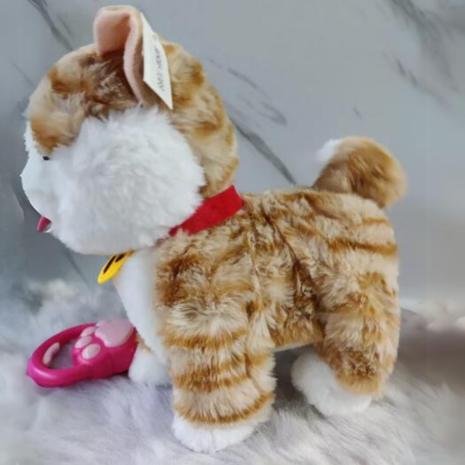 Cute Cat Pet Toy
