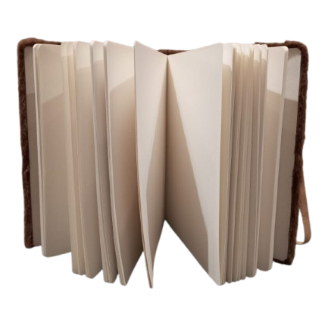 Cute Bear Dairy ( Brown )