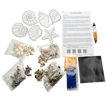 Shell Fridge Magnets for kids