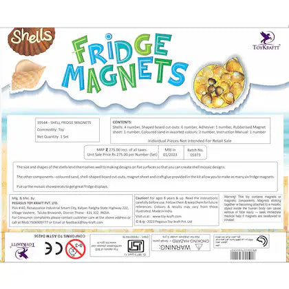 Shell Fridge Magnets for kids