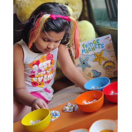 Shell Fridge Magnets for kids